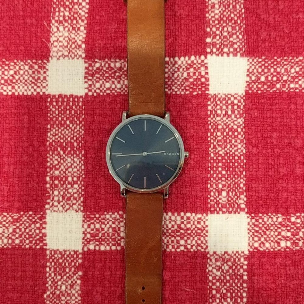 Skagen Women's Watch